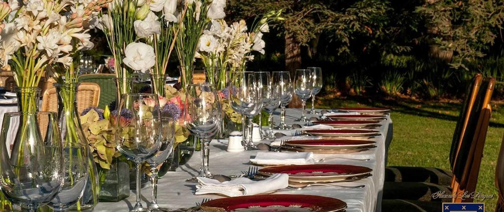 Copas Meson Los Lingues