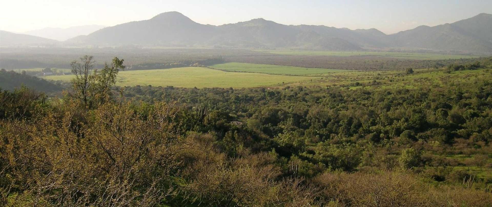 Valle Hacienda Los Lingues