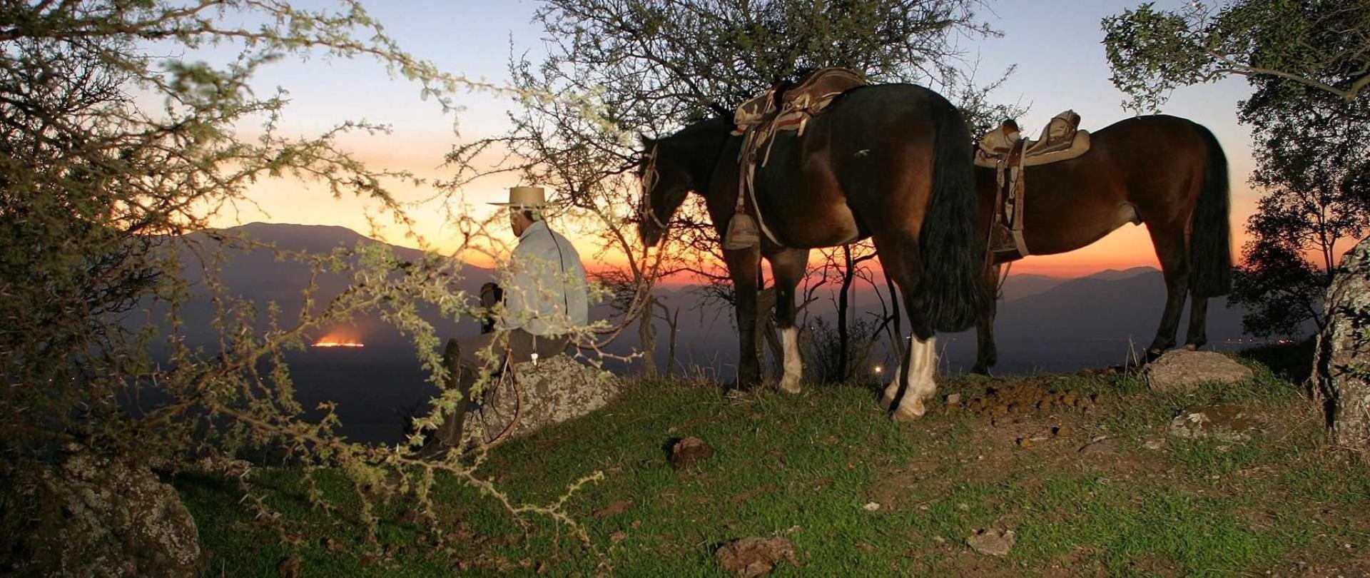 Caballos Los Lingues