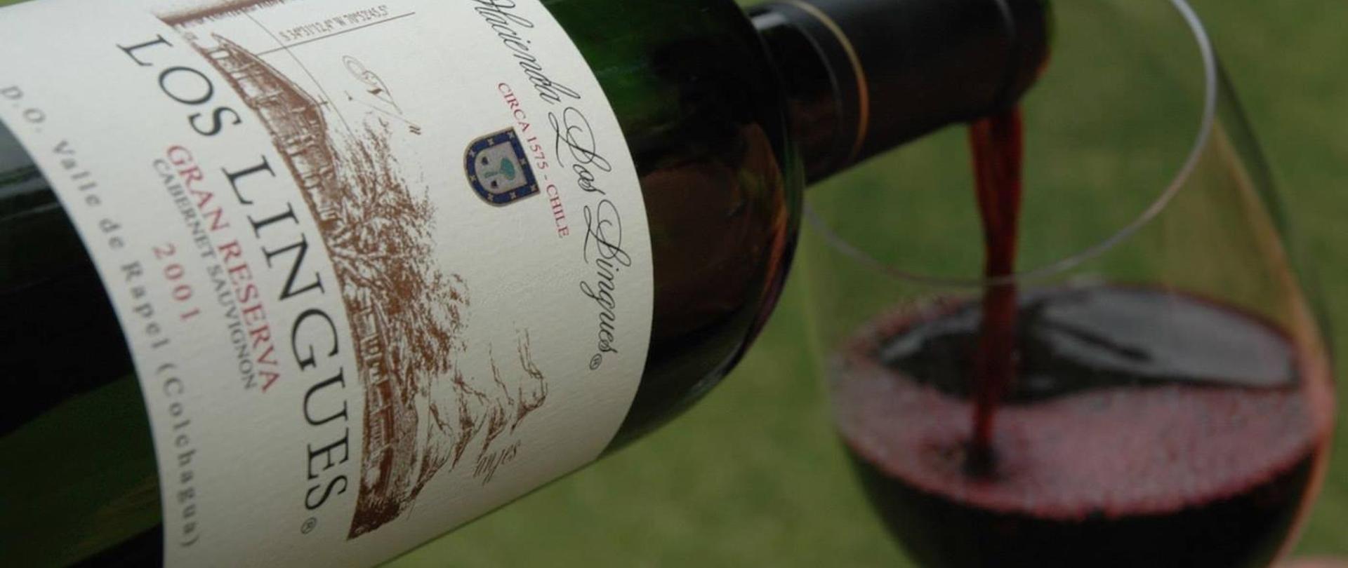 Copa Vino Los Lingues